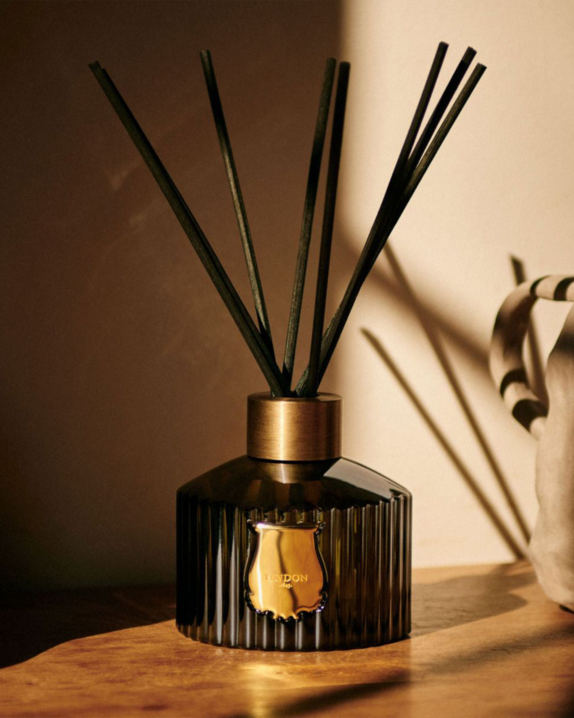 A reed diffuser bottle with dark glass and several dark reeds, featuring a gold-toned label and cap, placed on a wooden surface against a warm beige wall with dramatic shadows.