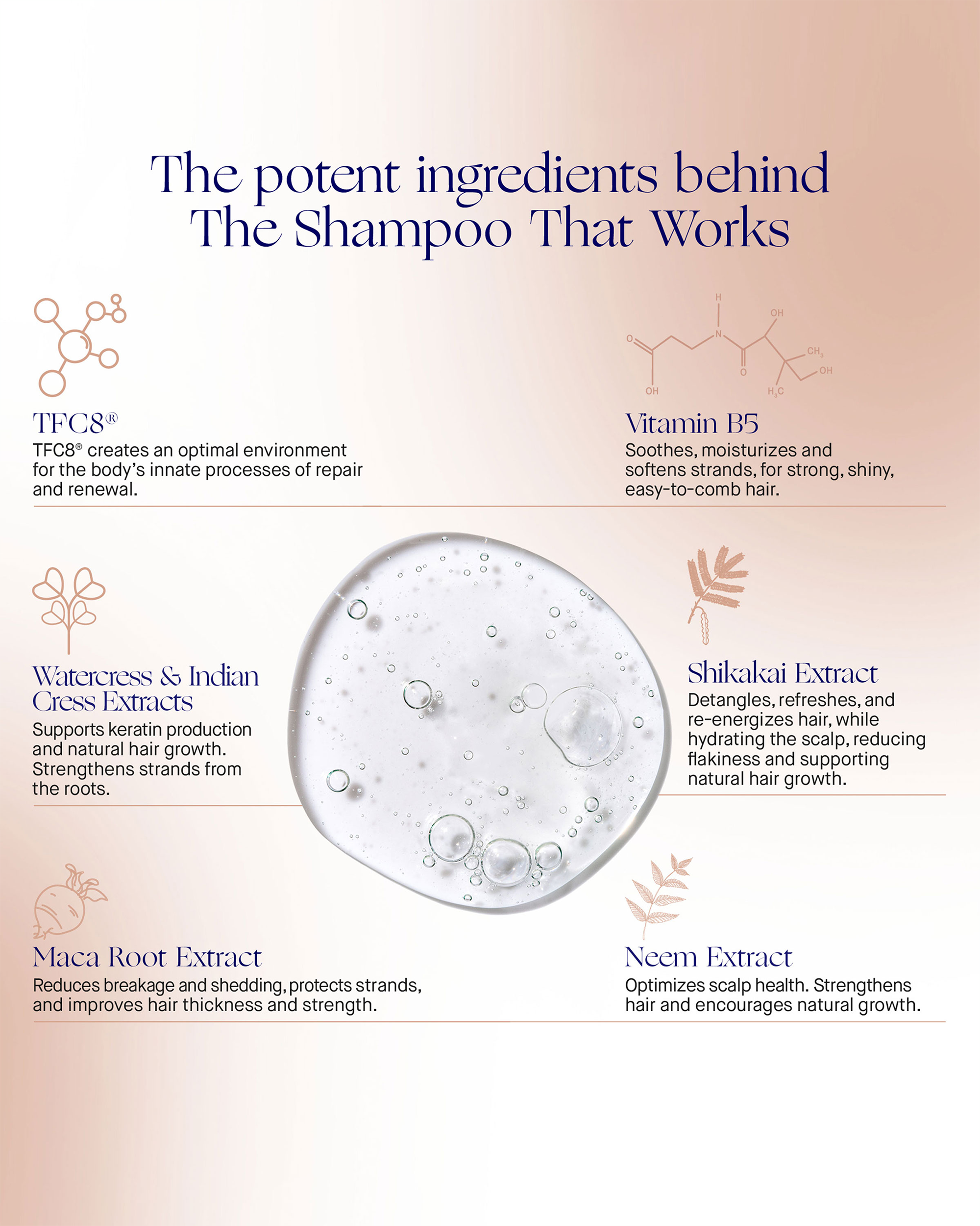 An educational infographic titled "The potent ingredients behind The Shampoo That Works," detailing key ingredients like TFC8, Vitamin B5, and Maca Root Extract around a bubble-filled liquid center.