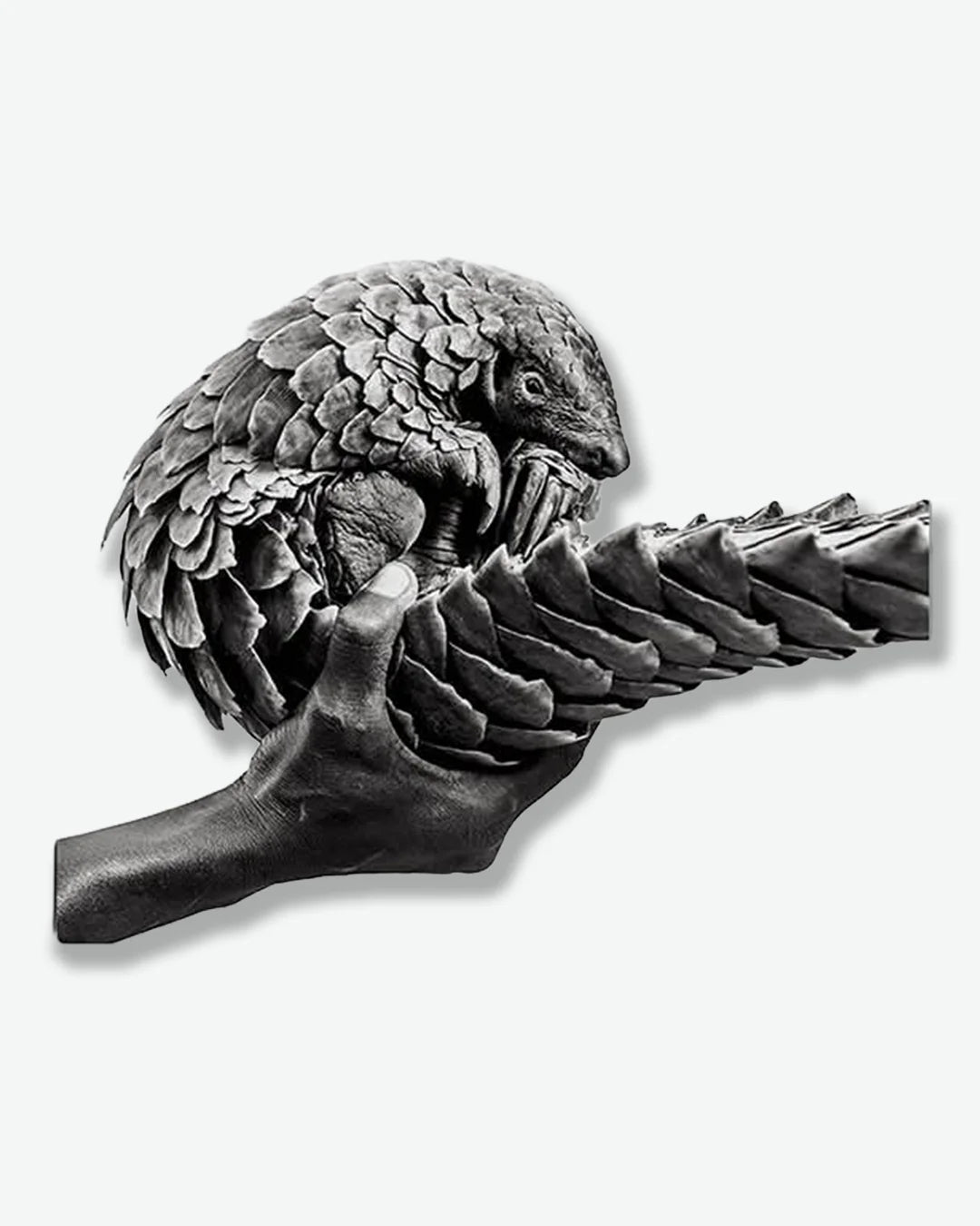 #color_pangolin