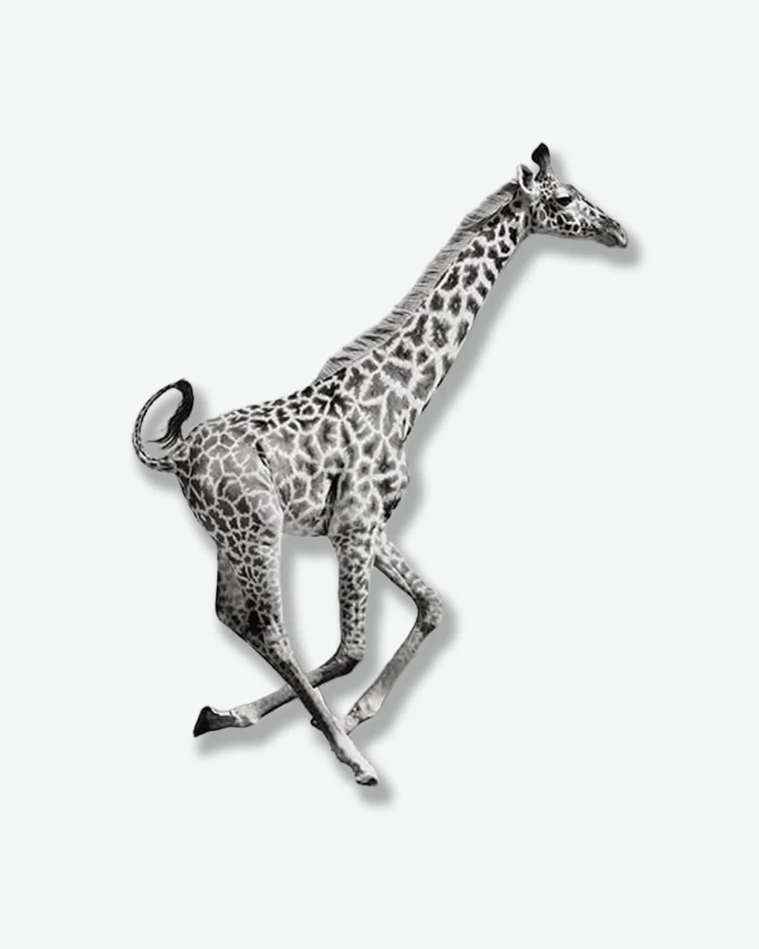 #color_giraffe