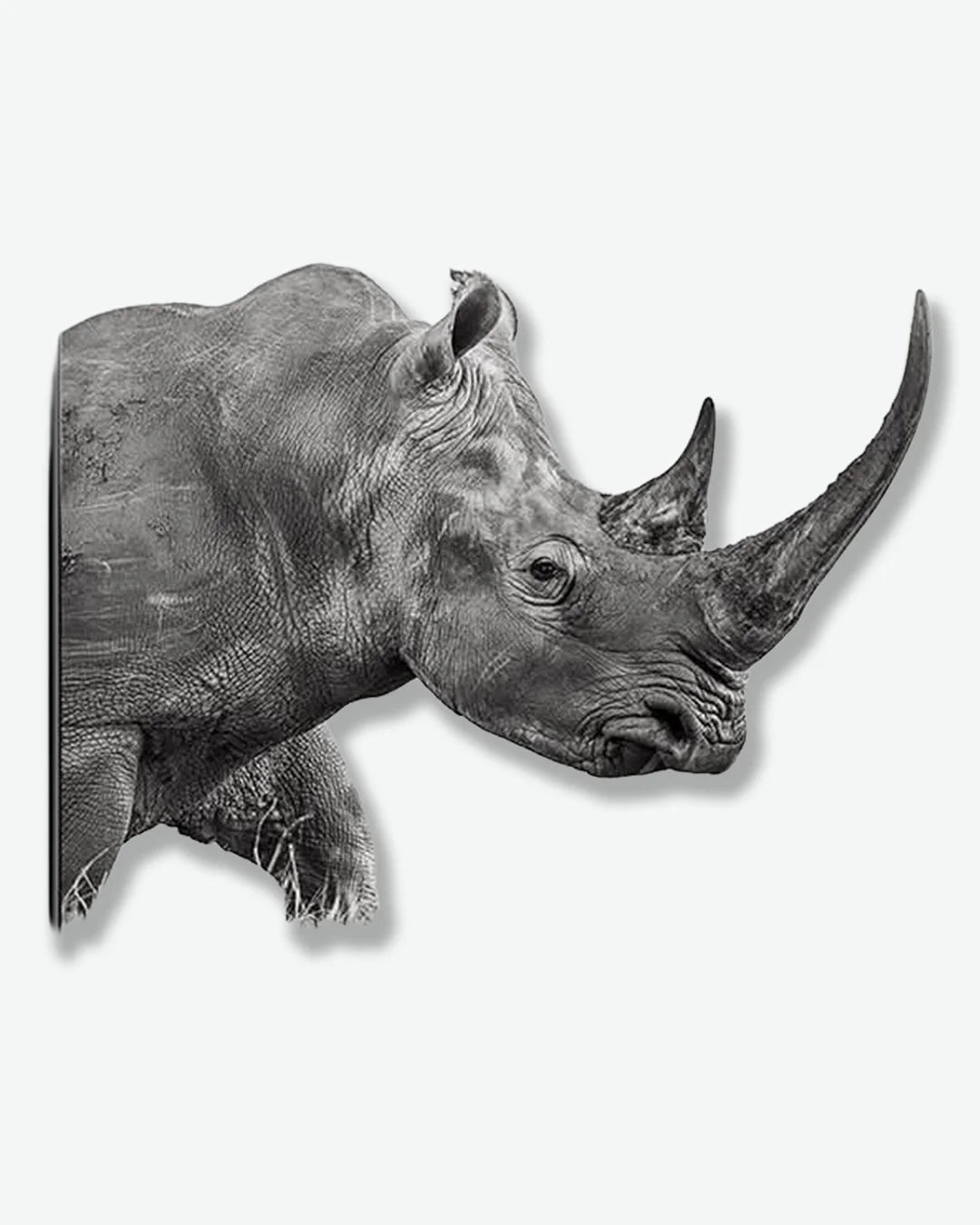 #color_rhino