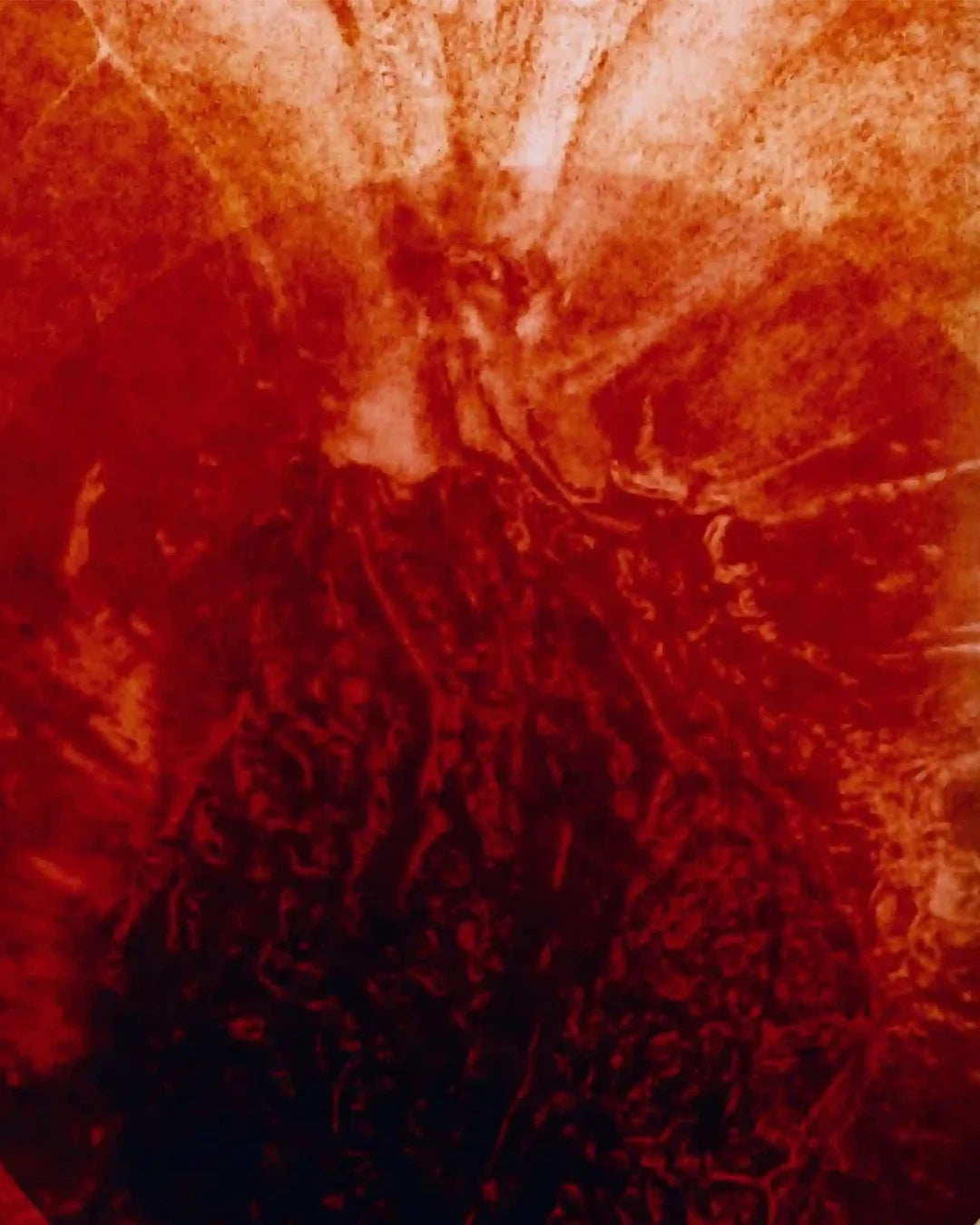 Close-up of a textured red surface with patterns