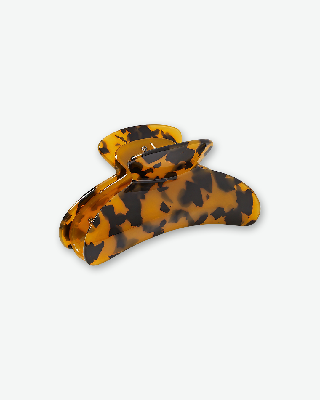 #color_classic tortoise