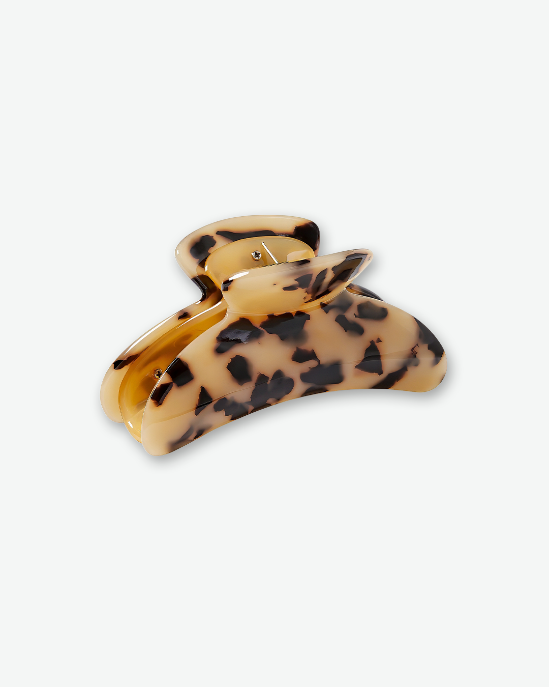 #color_blonde-tortoise