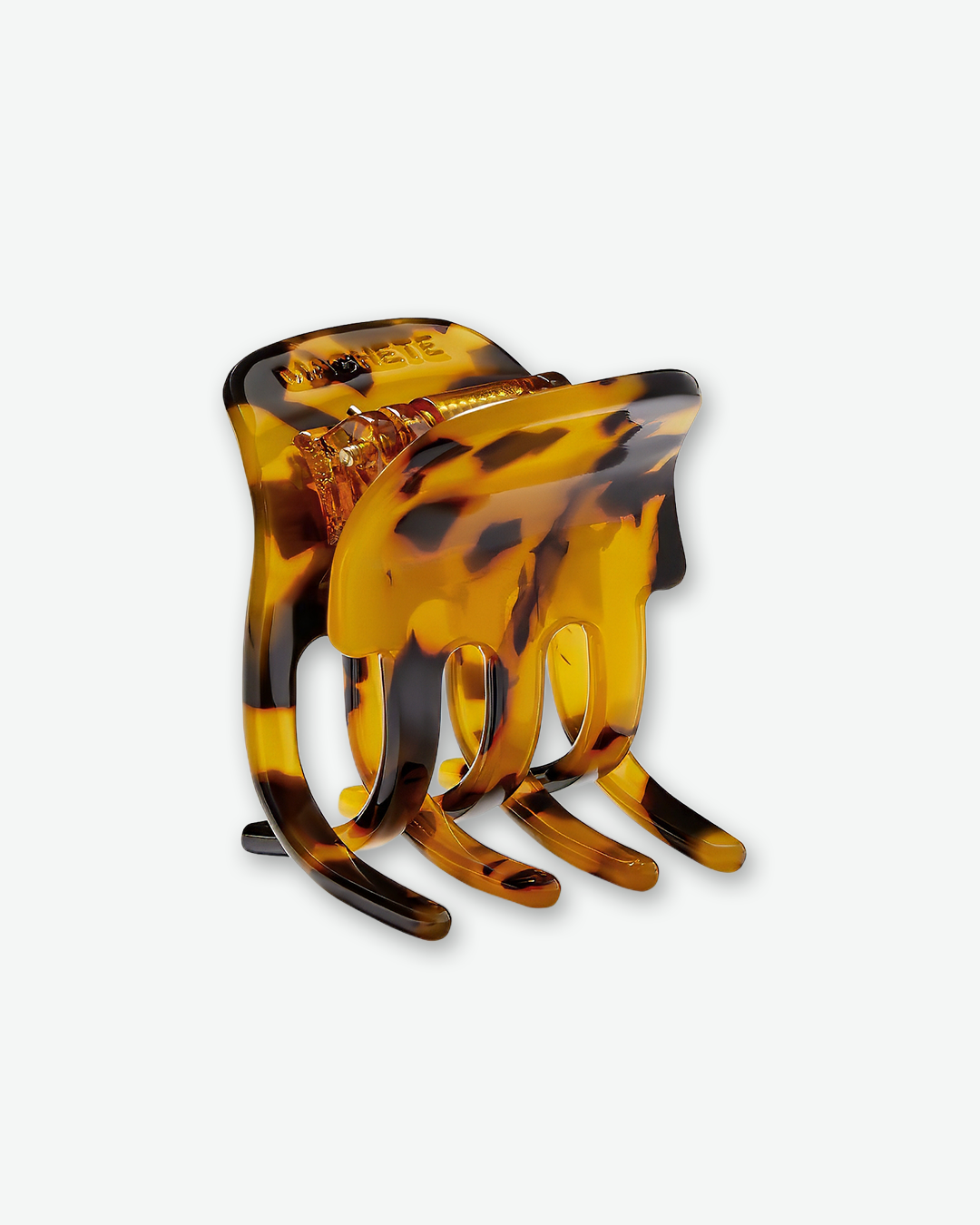 #color_classic tortoise