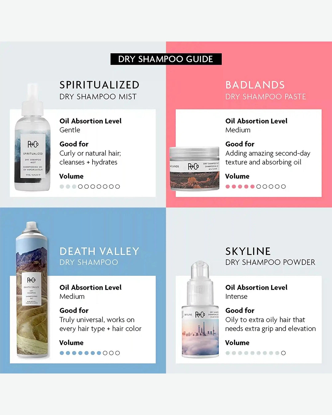 Dry shampoo guide with product images and descriptions on a white background