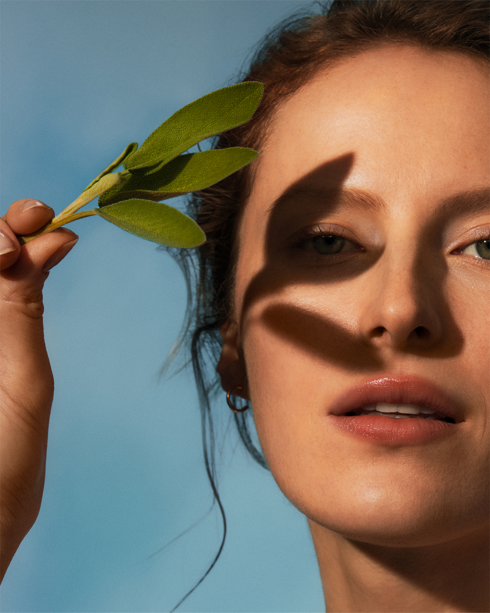 Close-up portrait of a woman holding a small green leafy sprig, with a harsh shadow of the leaves cast across her face against a clear blue sky backdrop.