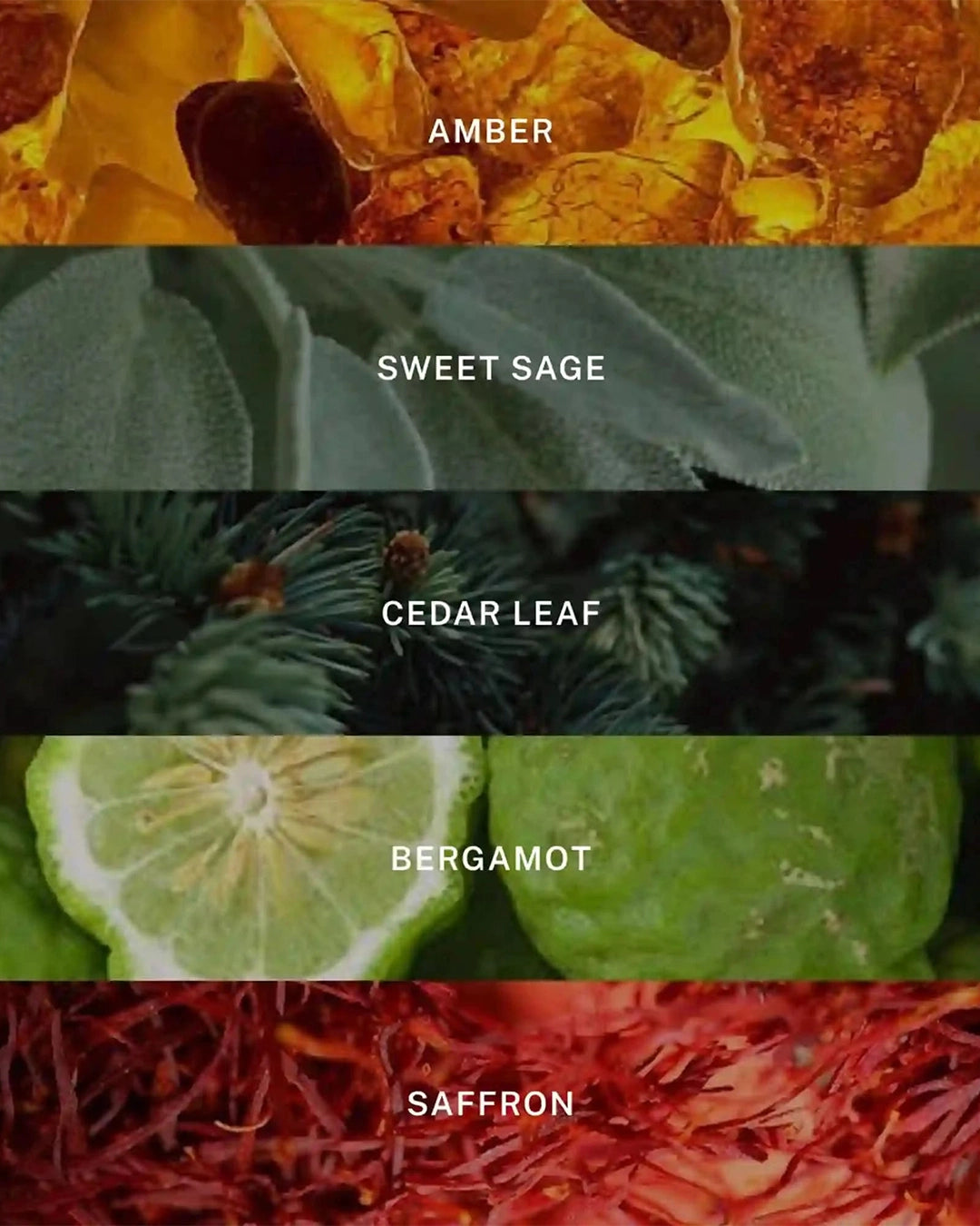 Color swatches labeled 'Amber', 'Sweet Sage', 'Cedar Leaf', 'Bergamot', and 'Saffron' with corresponding color samples.