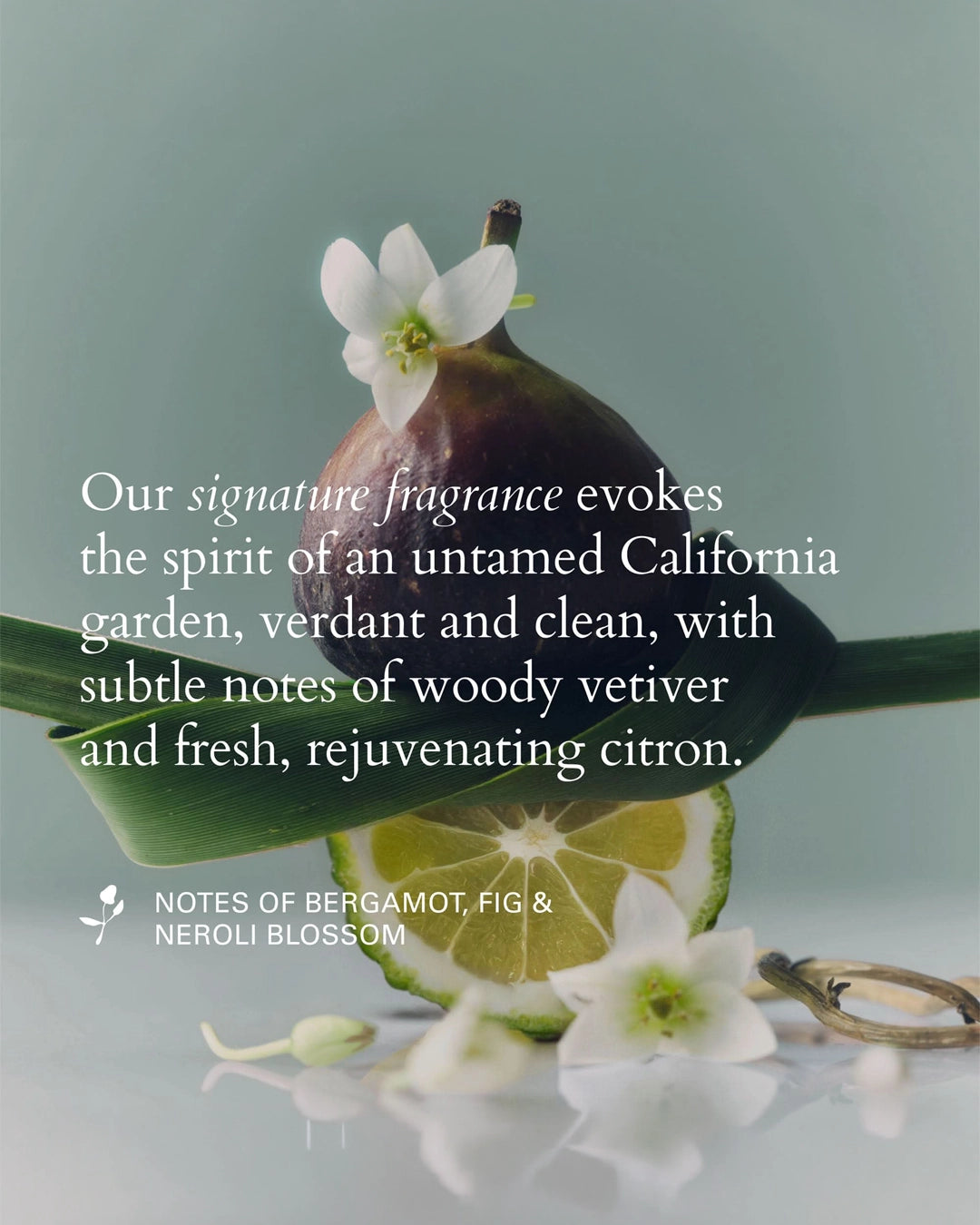 Figs, lime, and flowers with a fragrance description on a gradient background