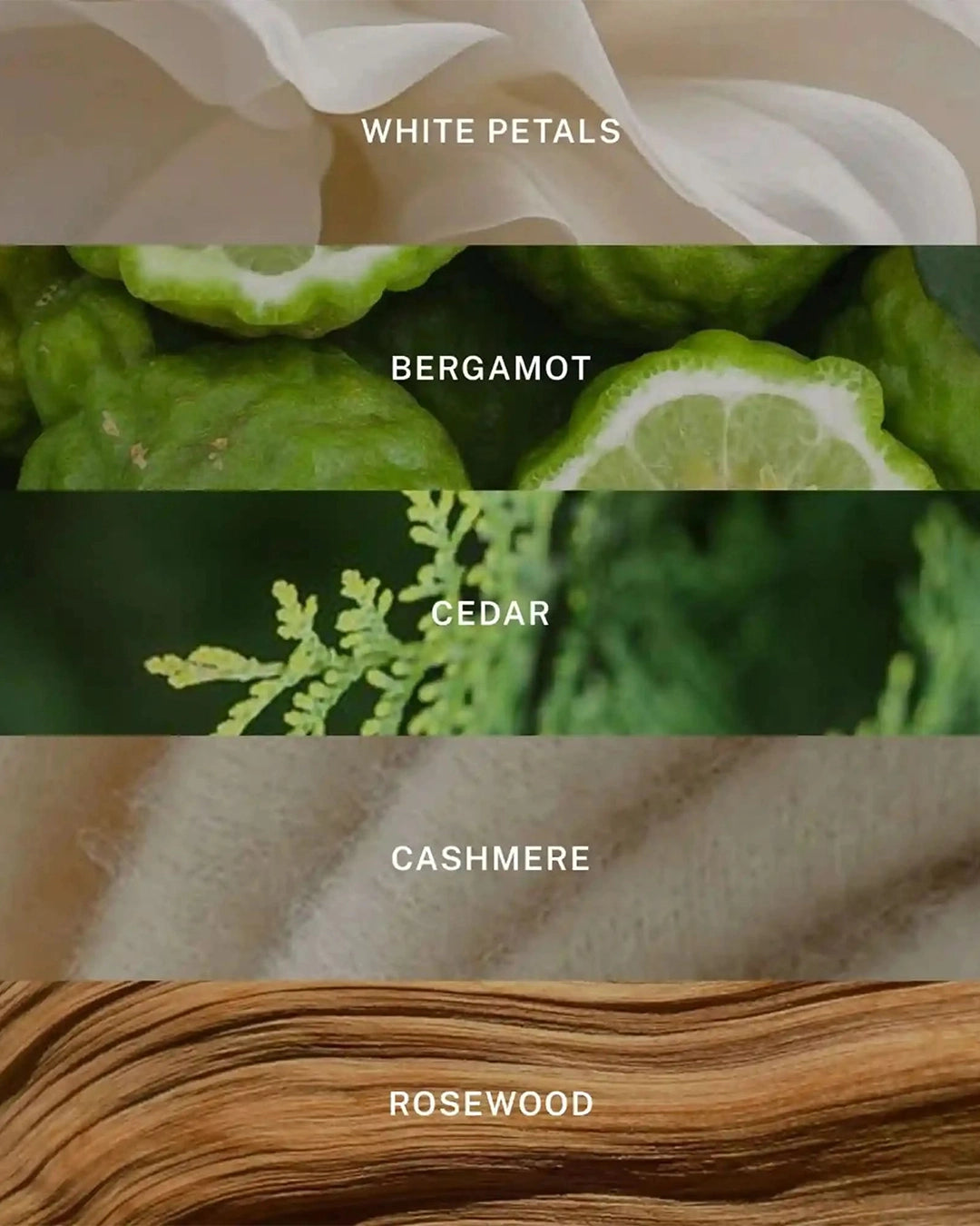 Color swatches with labels for white petals, bergamot, cedar, cashmere, and rosewood.