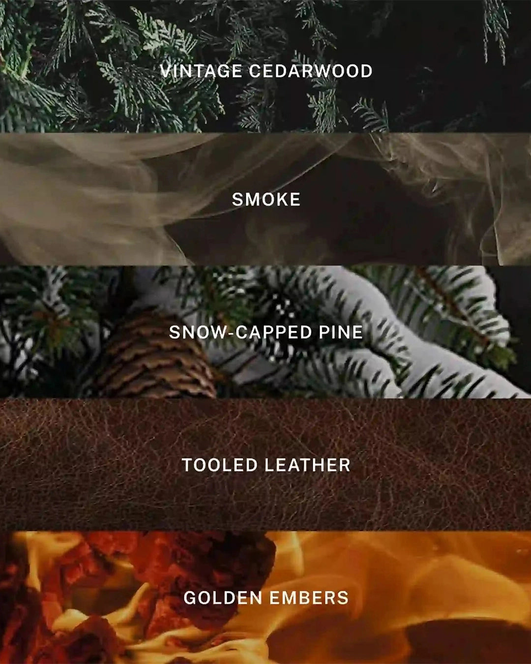 Collection of nature-themed labels with corresponding imagery and text.