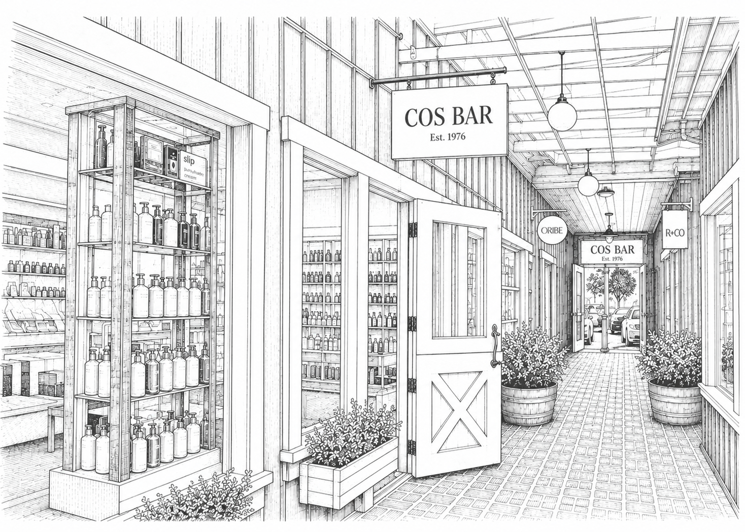 Sketch of Cos Bar Brentwood Store