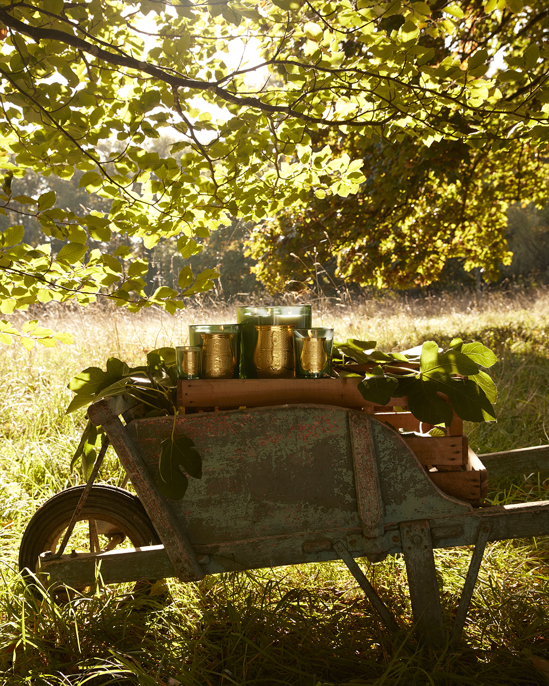 A collection of green Trudon scented candles arranged in a vintage wooden wheelbarrow outdoors under dappled sunlight.