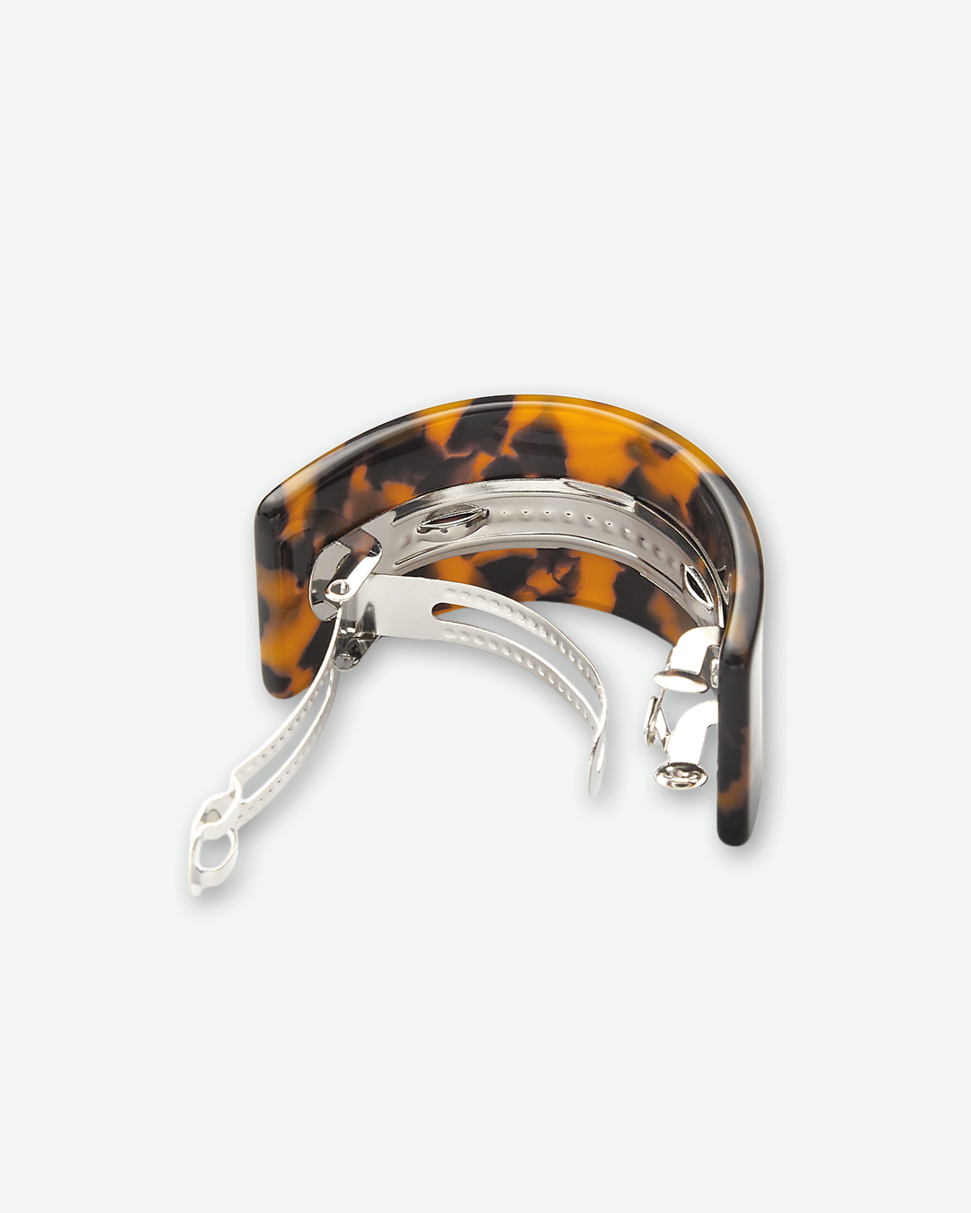#color_classic tortoise