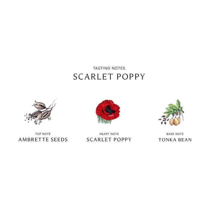 Scarlet Poppy