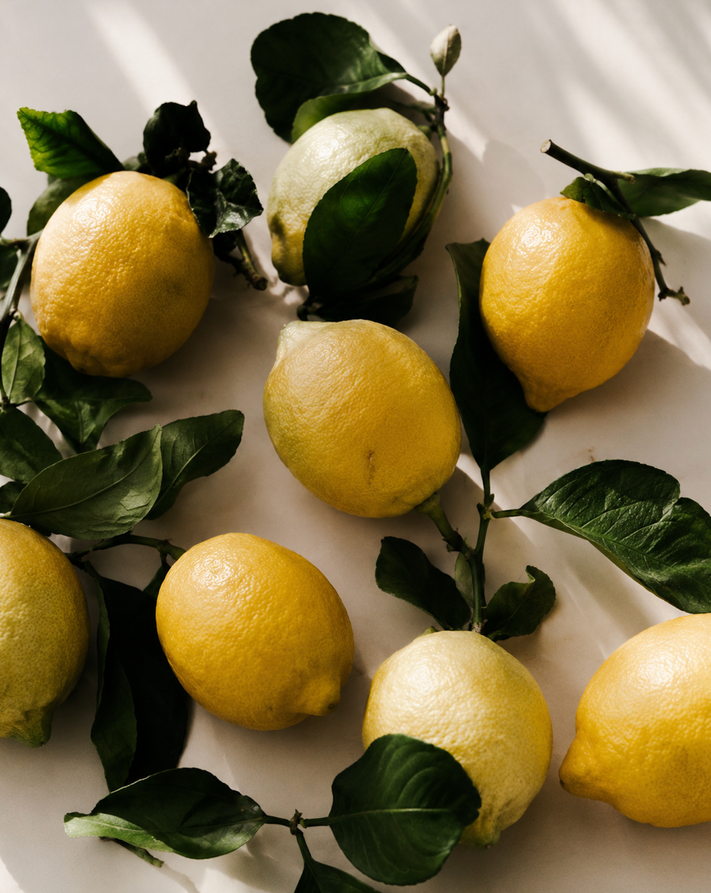 Fragrance: Fruity & Citrus