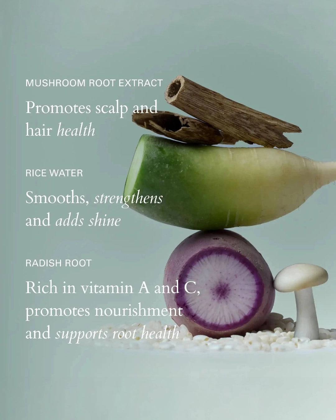 Balanced pile of radish, rice, and mushroom with text about their health benefits on a light green background.