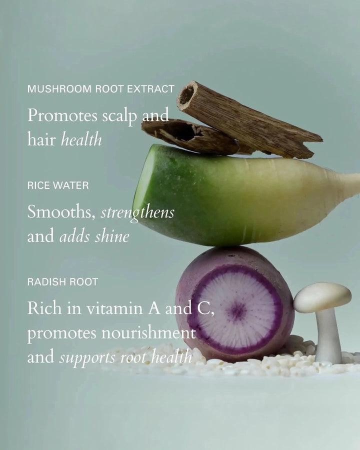 Balanced pile of radish, rice, and mushroom with text about their health benefits on a light green background.