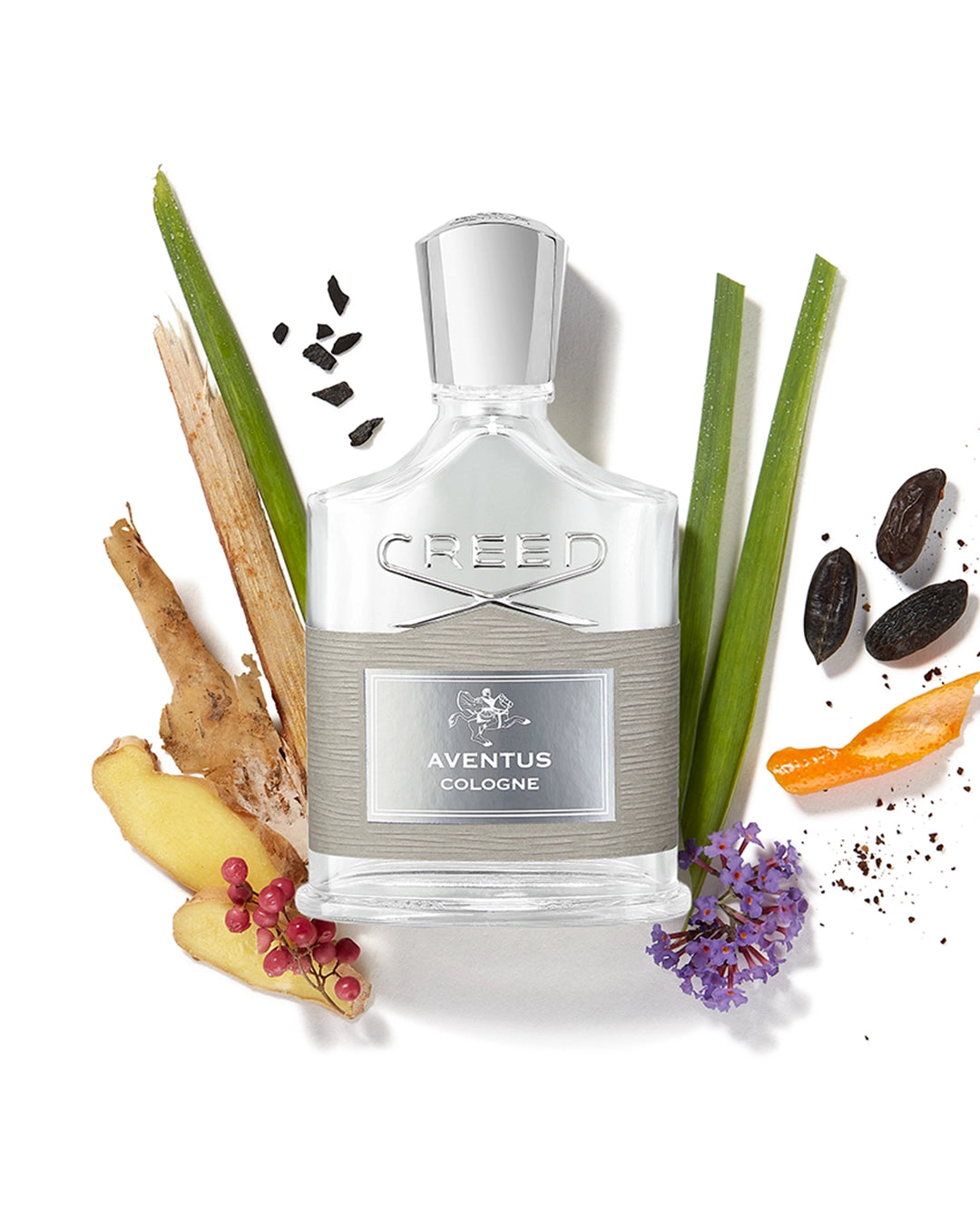 Aventus Cologne