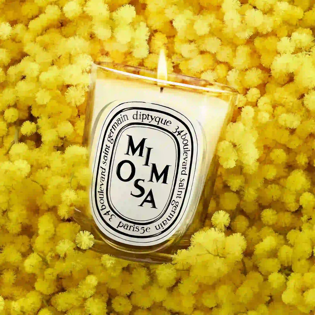 Mimosa Classic Candle 190G