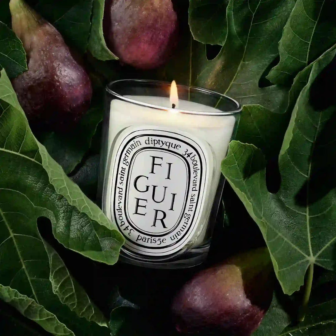 Figuier Classic Candle 190G