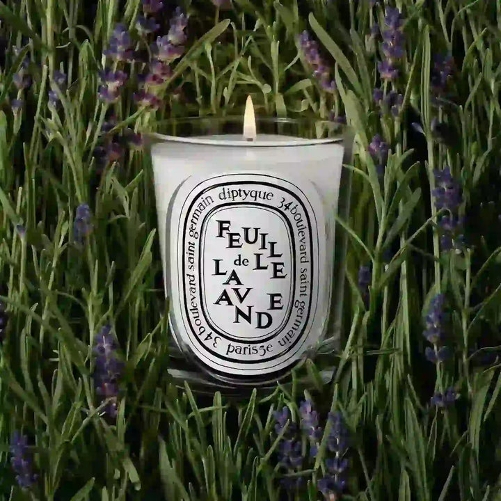 Feuille de Lavande Candle 190G