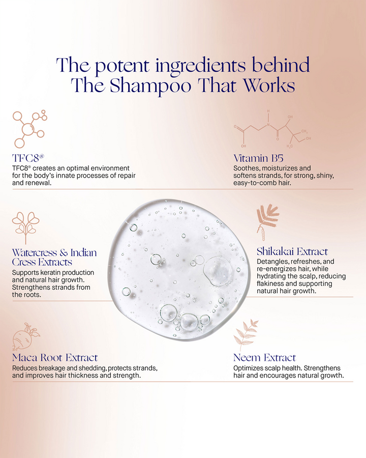 An educational infographic titled "The potent ingredients behind The Shampoo That Works," detailing key ingredients like TFC8, Vitamin B5, and Maca Root Extract around a bubble-filled liquid center.