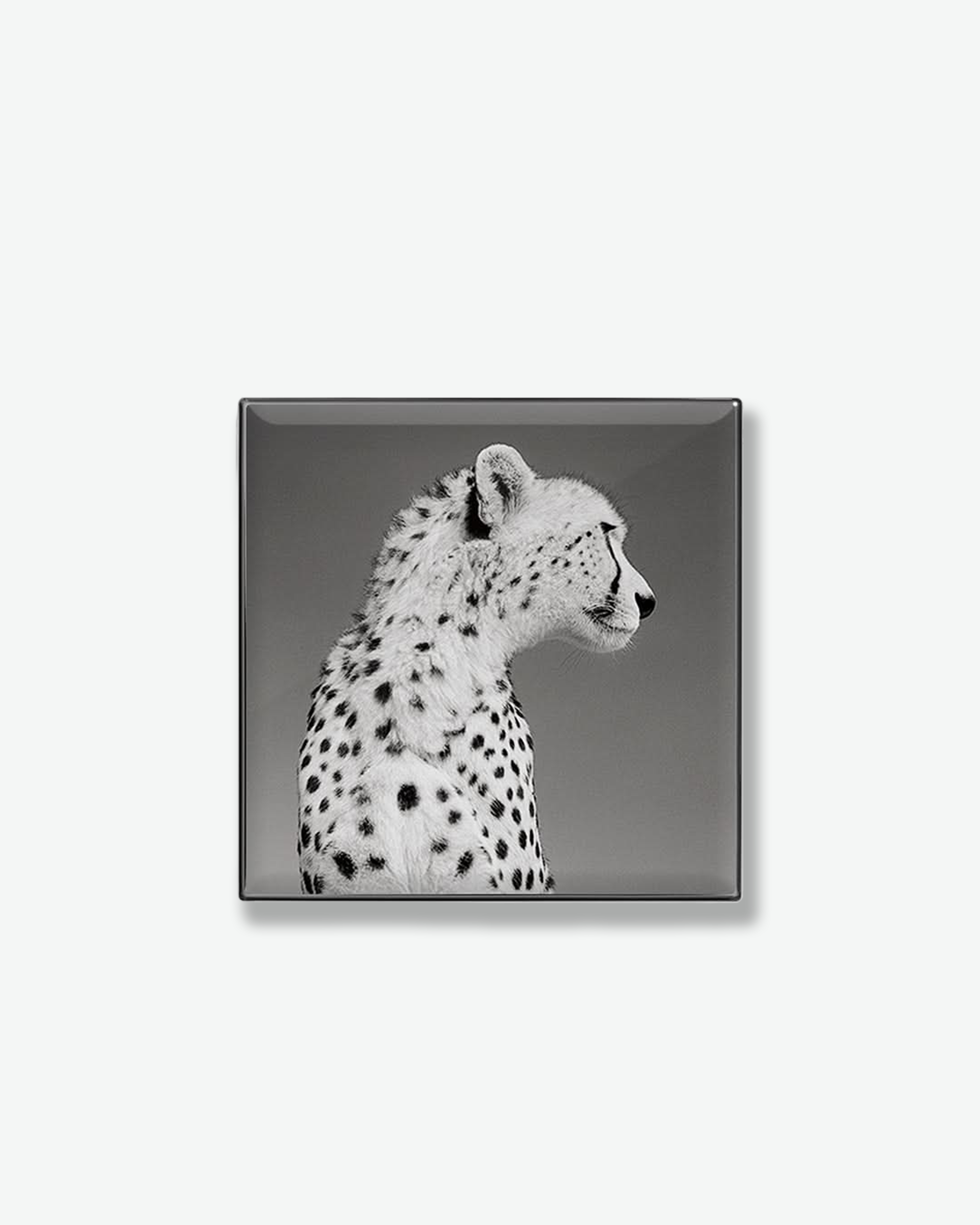 #color_cheetah