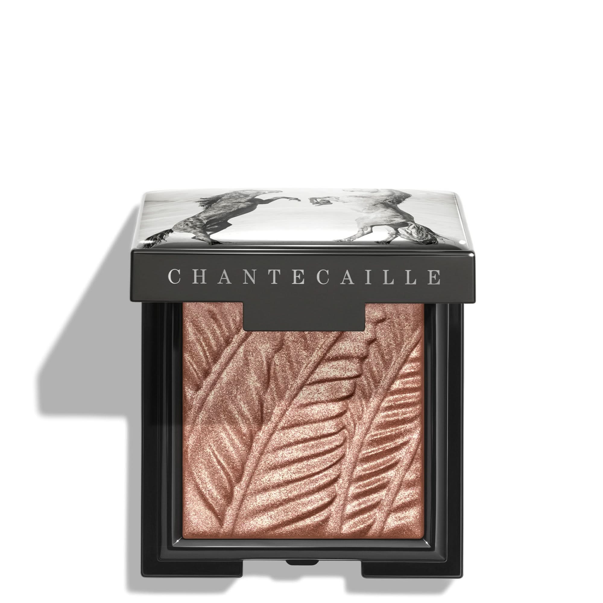 Chantecaille Luminescent Eye Shade – Cos Bar