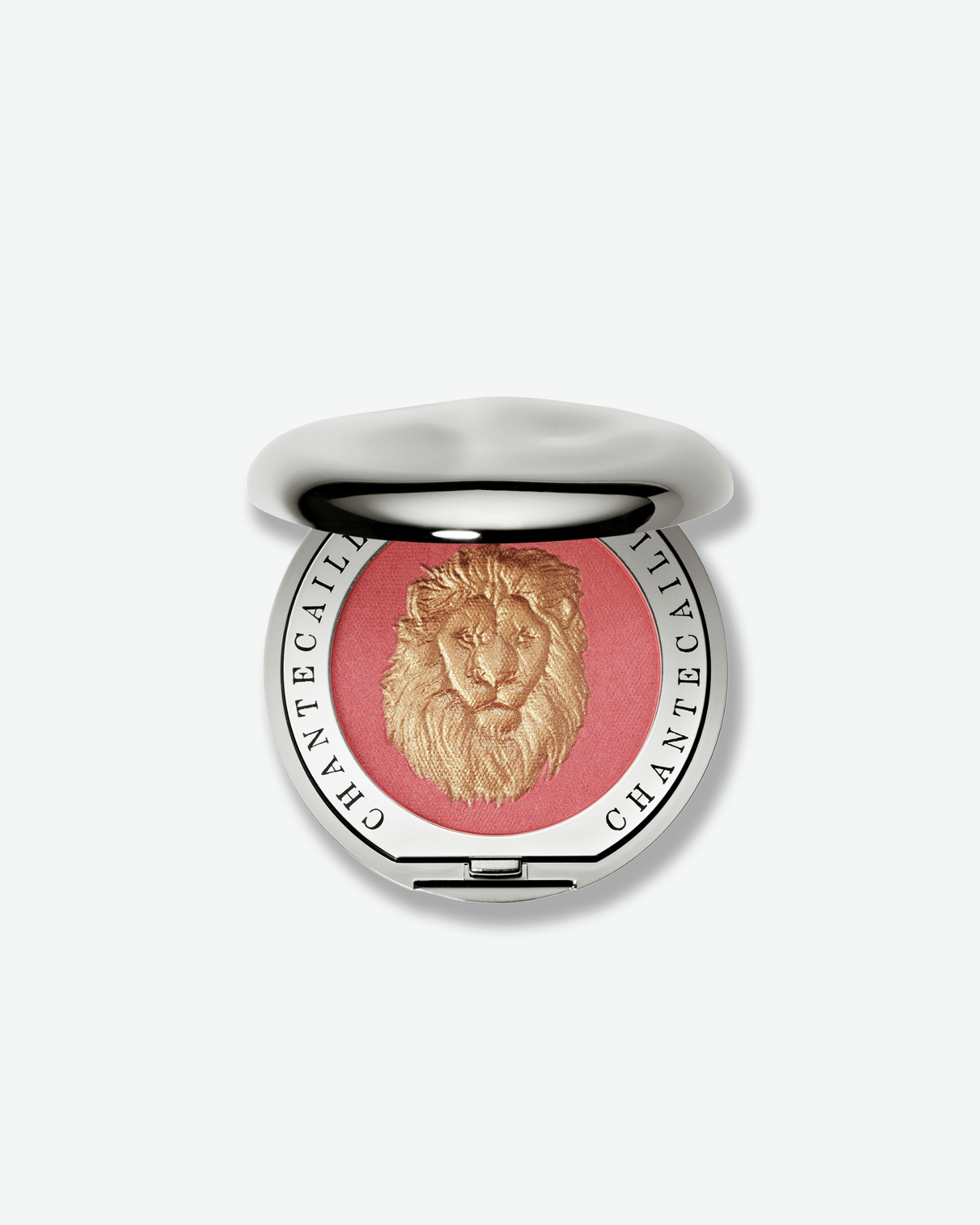 #color_lion pride