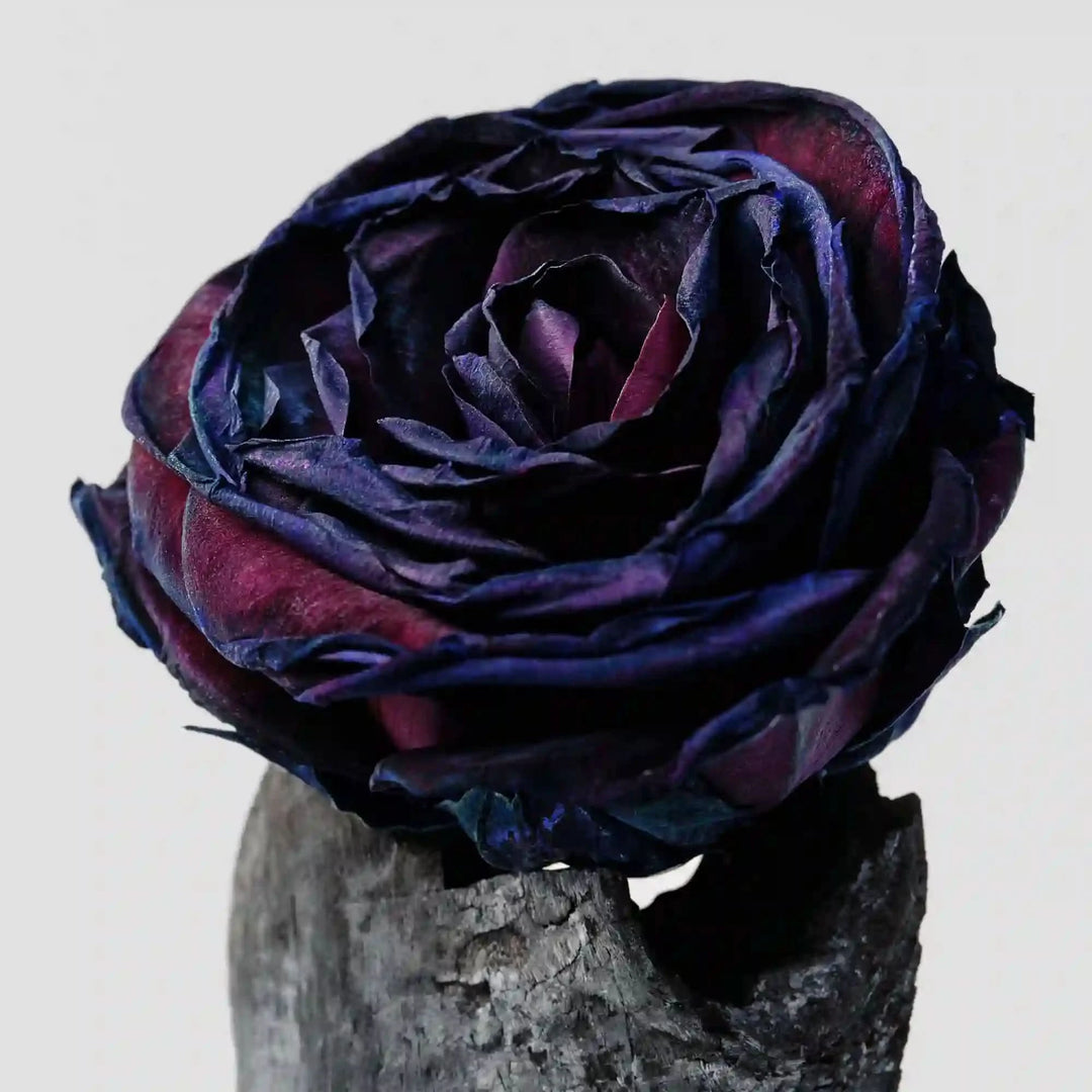 Black Rose & Oud Body Mist 100 mL