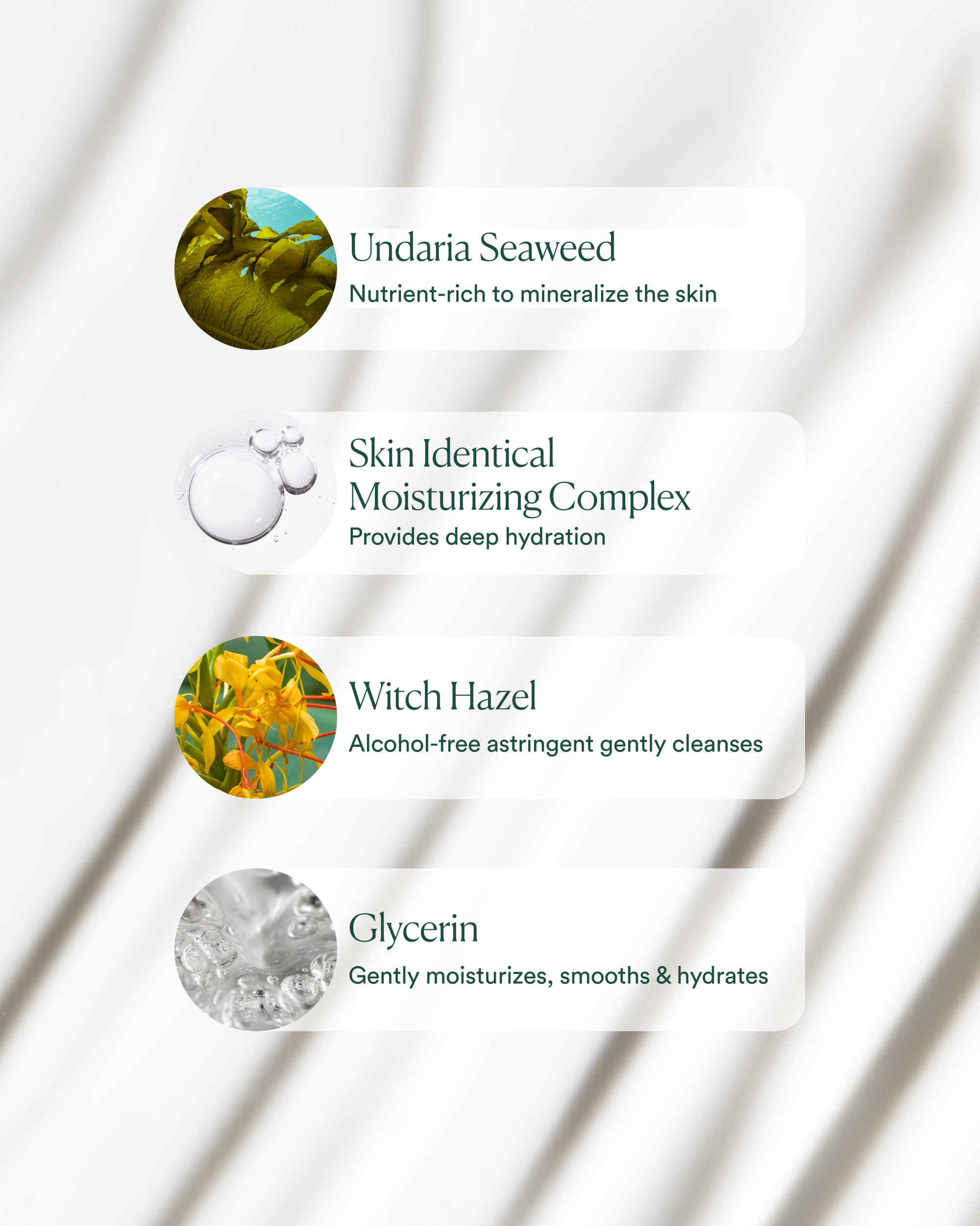 Infographic listing four key skincare ingredients: Undaria Seaweed, Skin Identical Moisturizing Complex, Witch Hazel, and Glycerin.