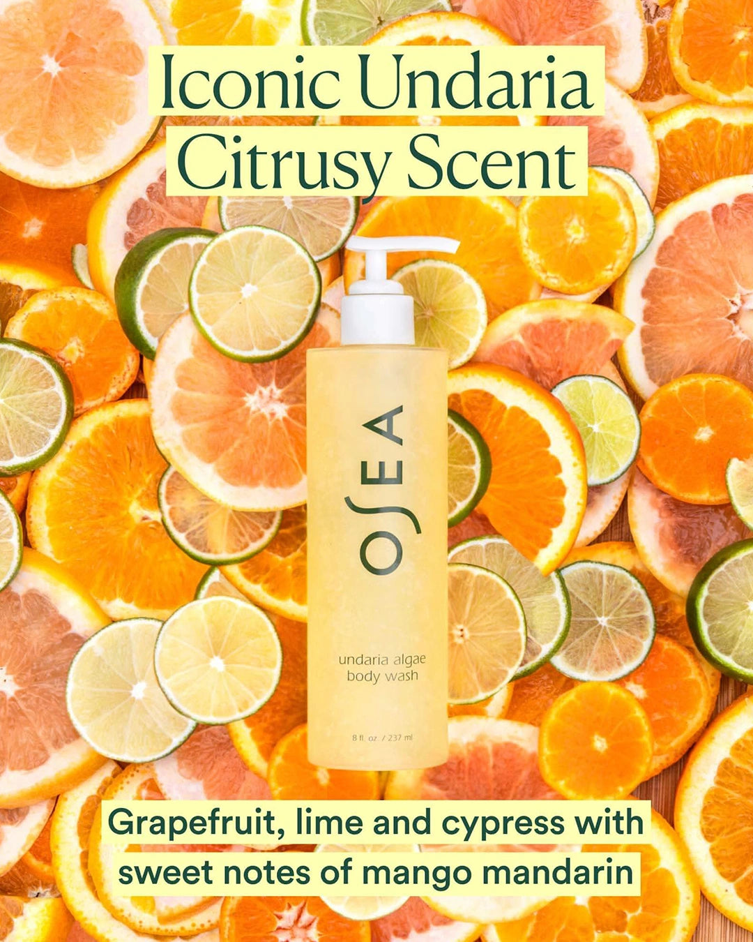 Undaria Algae Body Wash