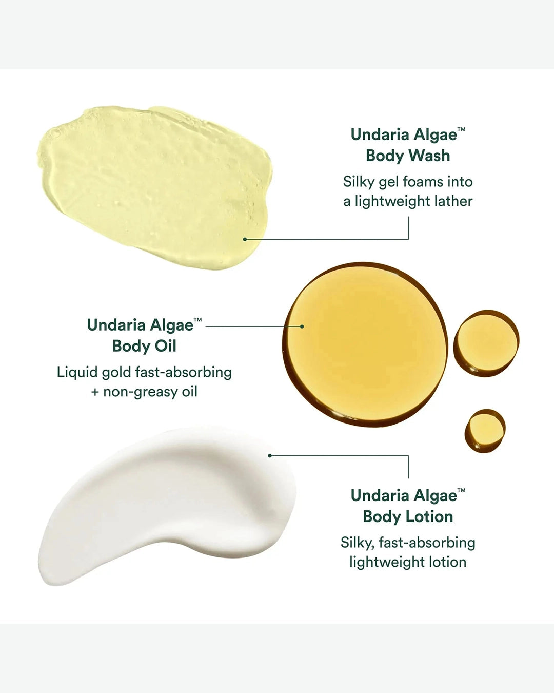 Undaria Body Glow Trio