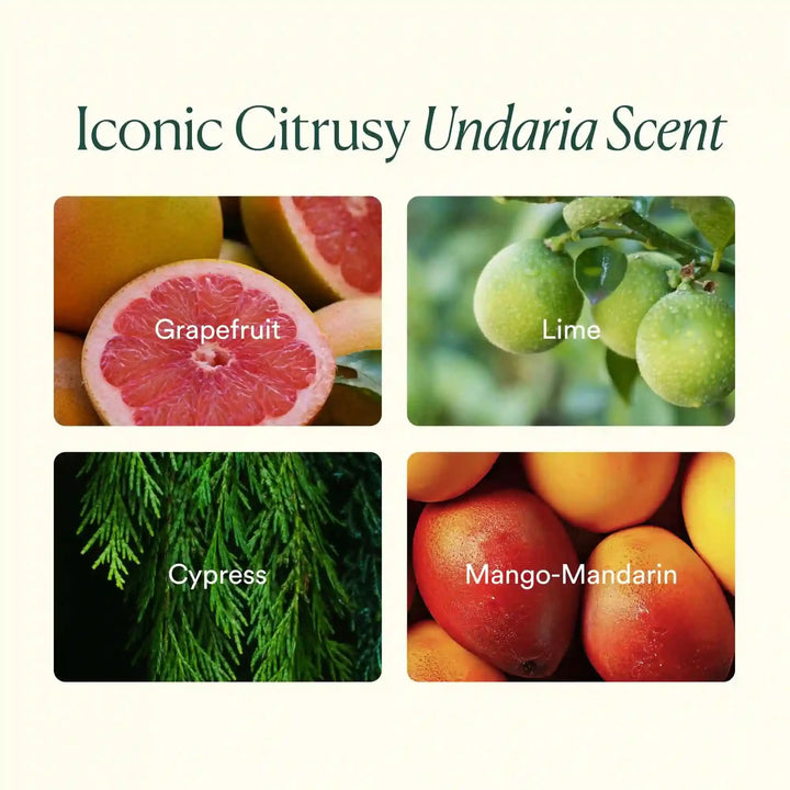 Undaria Body Glow Trio