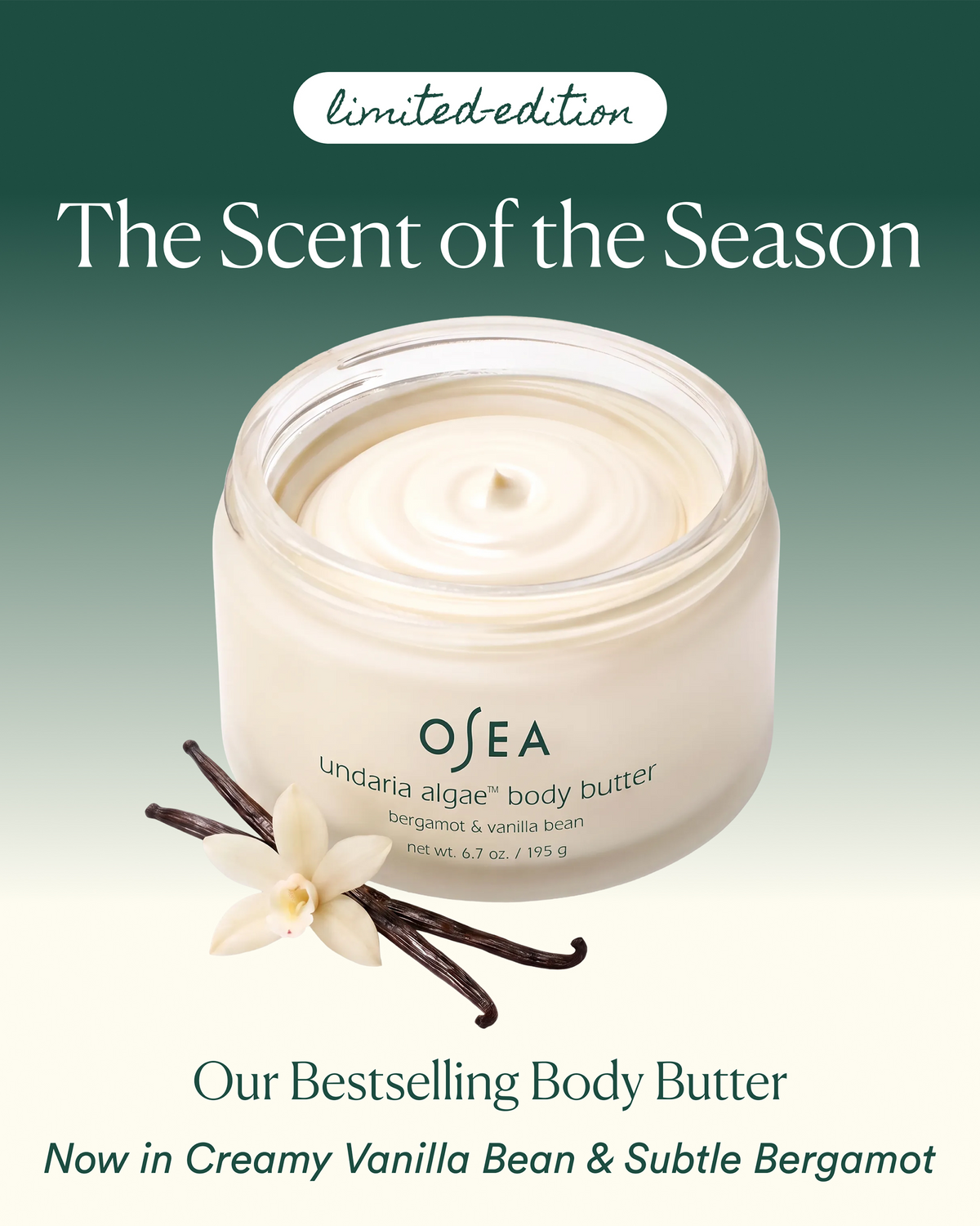 OSEA Undaria Algae Body Butter in limited-edition Bergamot & Vanilla Bean, shown open with vanilla beans and flower against a green gradient background.