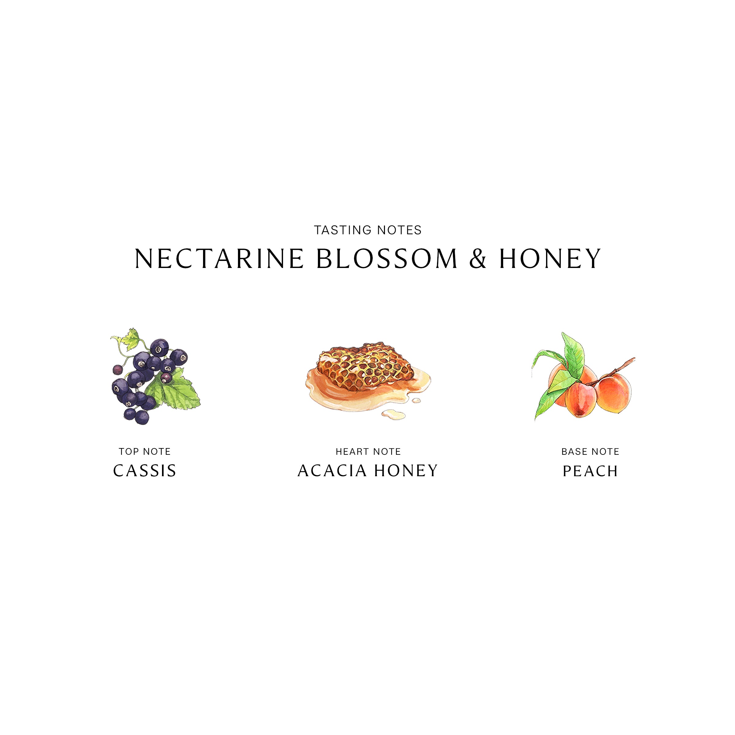 3.4oz on sale Nectarine Blossom & Honey Jo Malone