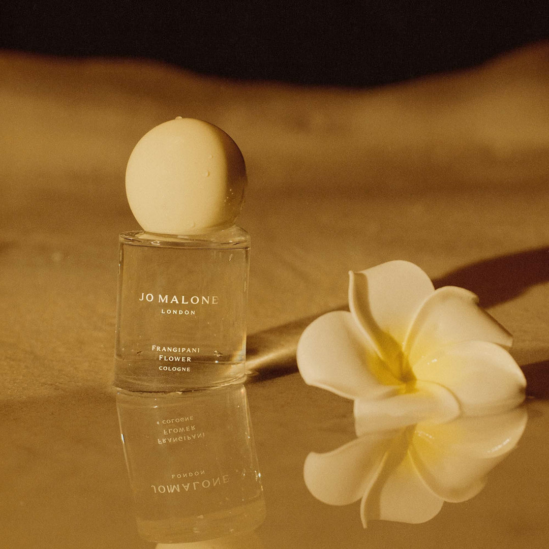Cologne Plumeria Flower Perfume Frangipani Flower Cologne – Cos Bar