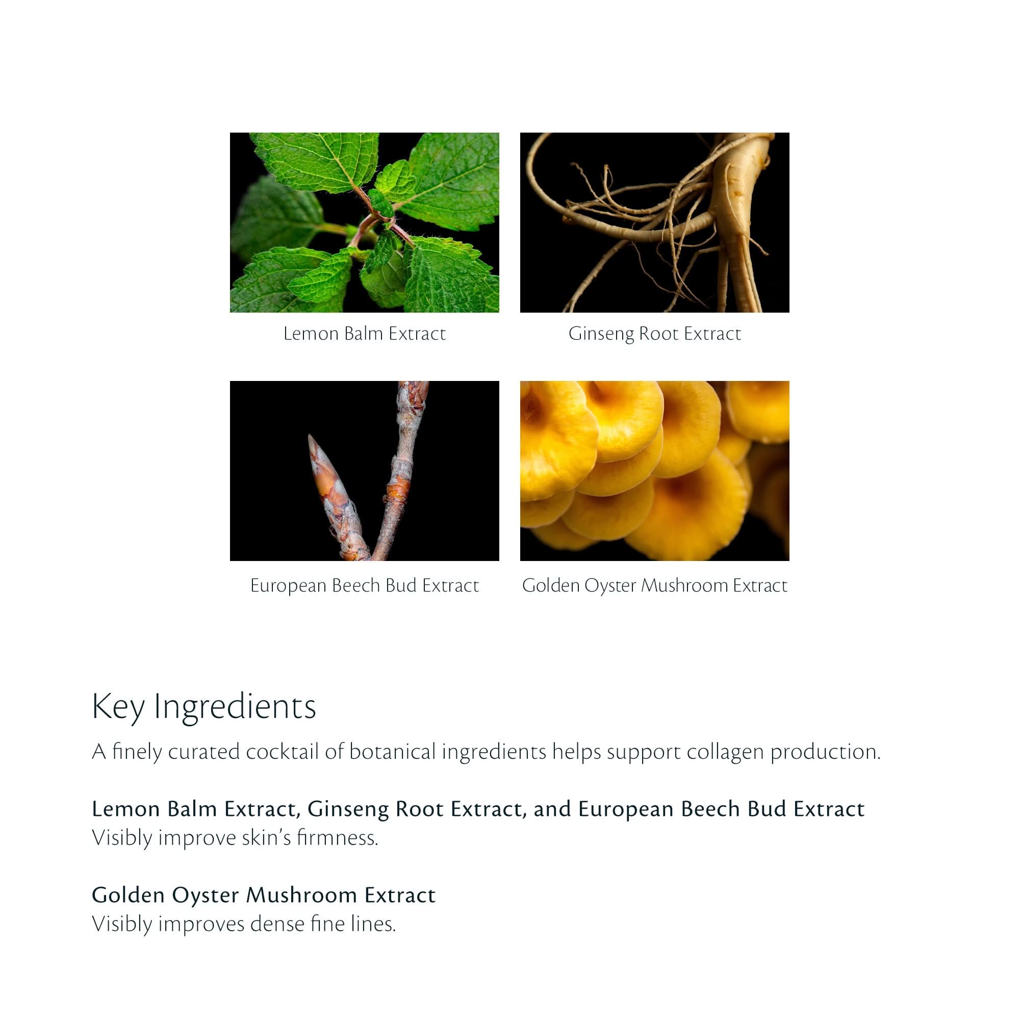 Night of Beauté II 7個セット sa 884920173460.1.jpg