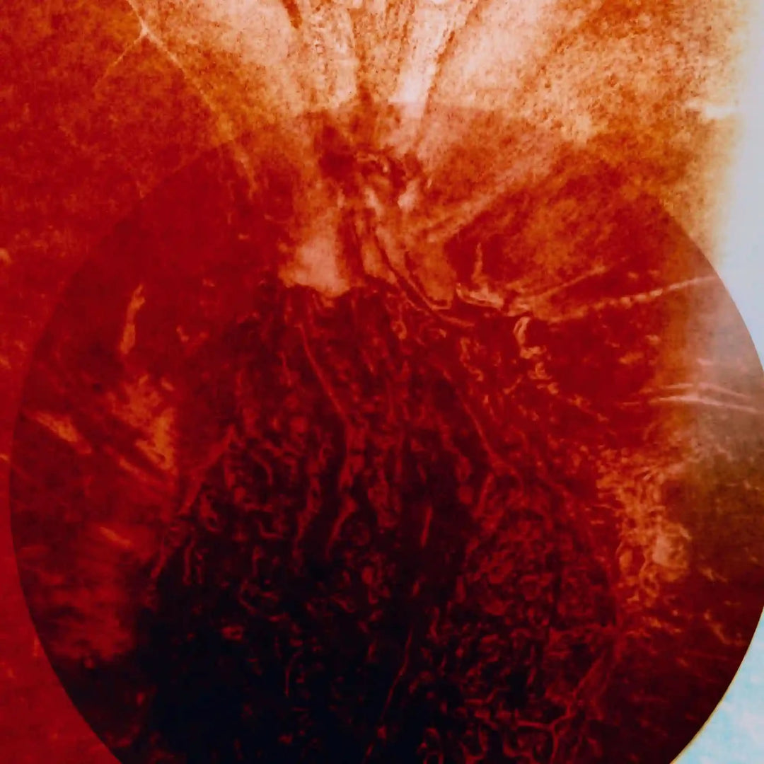 Rouge Chaotique Night Veils