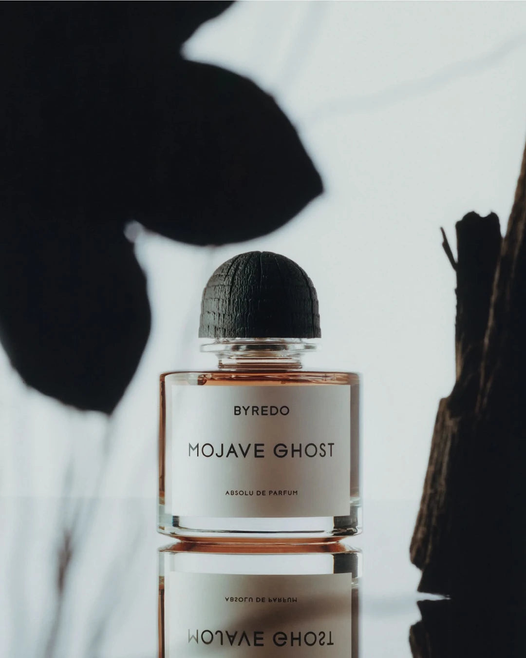Mojave Ghost Absolu De Parfum