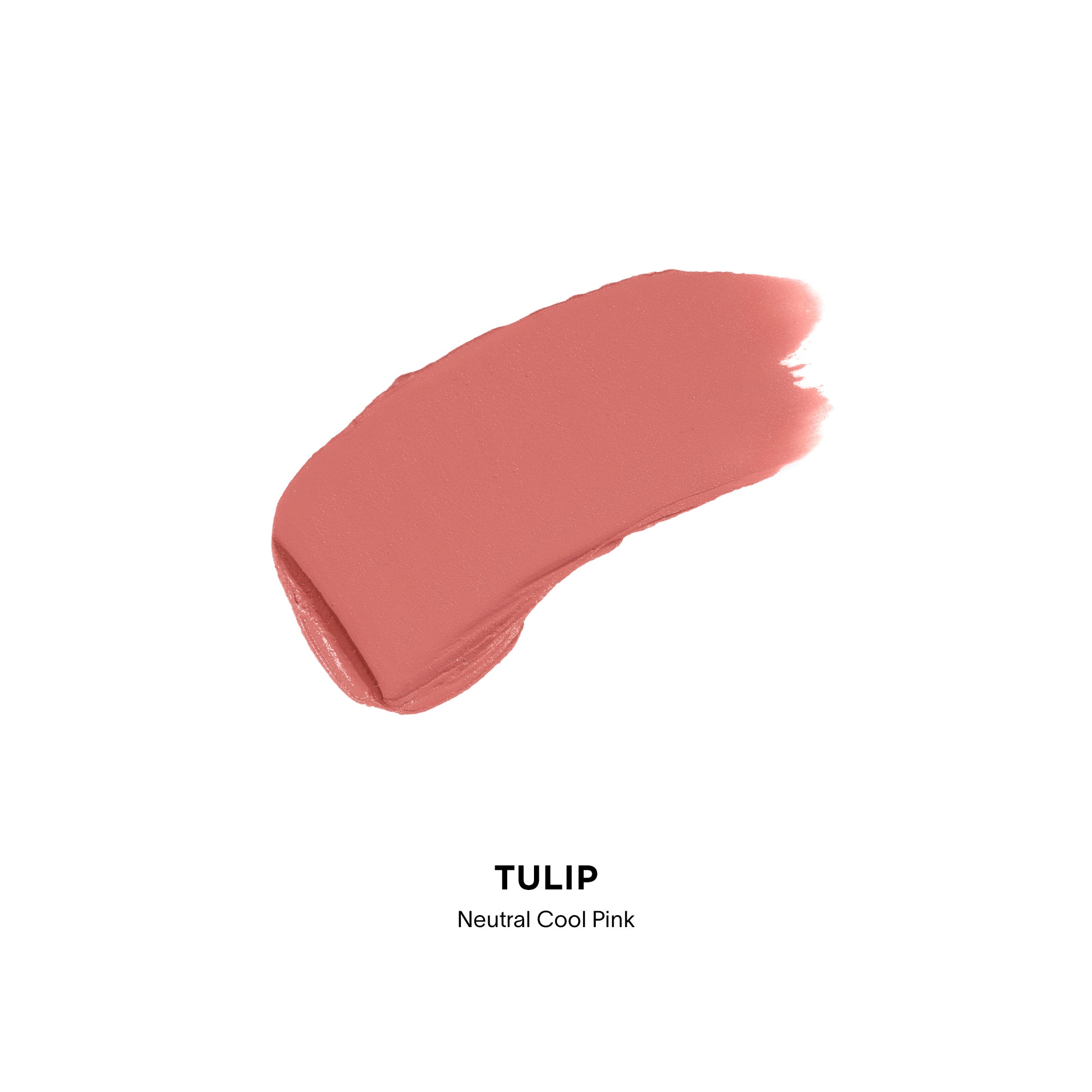 Tulip 344