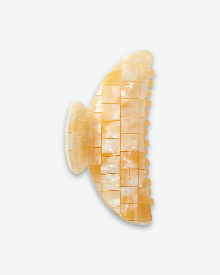 #color_sea-shell-checker