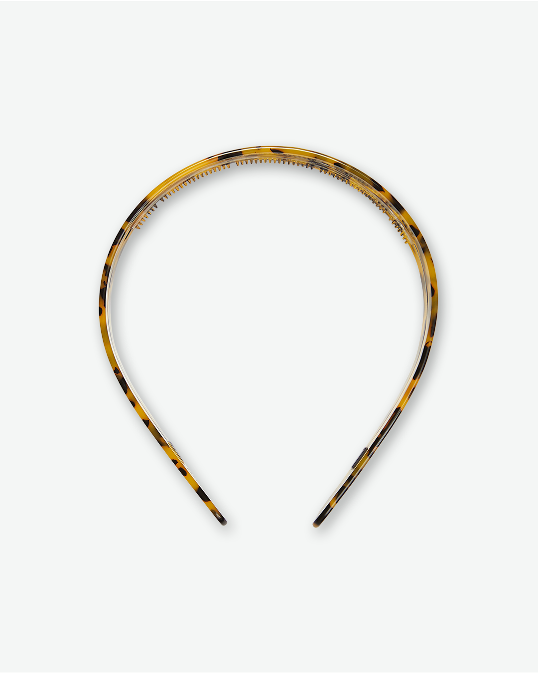 #color_classic tortoise