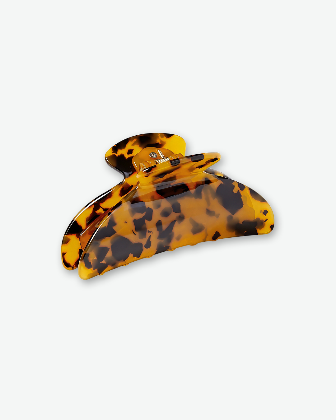 #color_classic tortoise