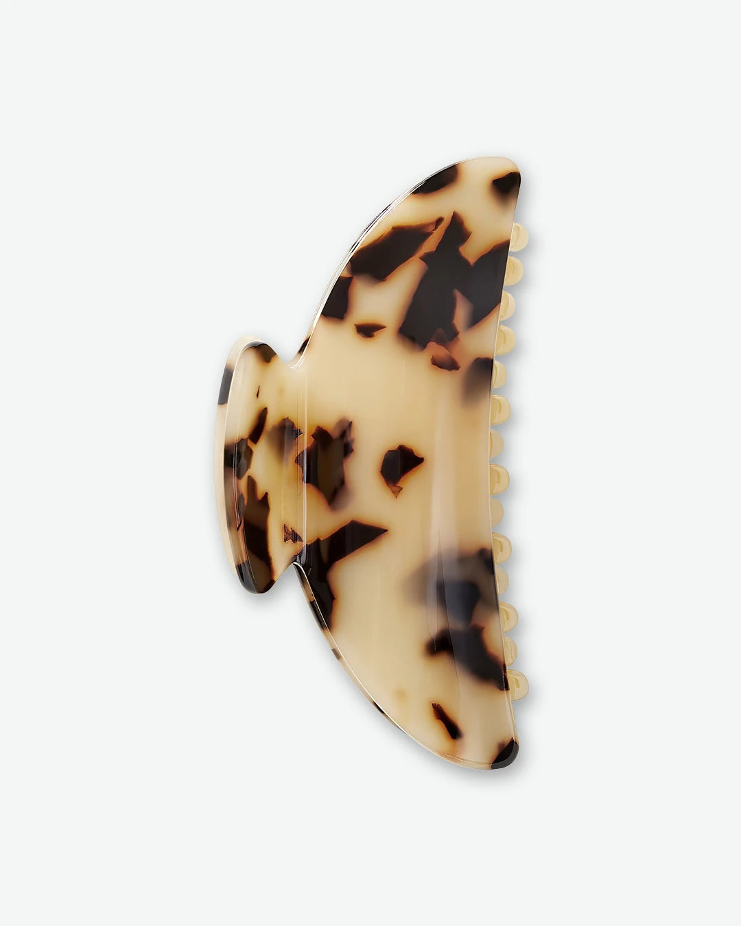 #color_blonde-tortoise