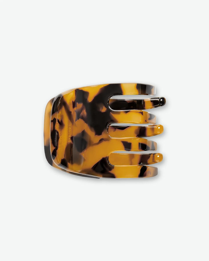 #color_classic-tortoise
