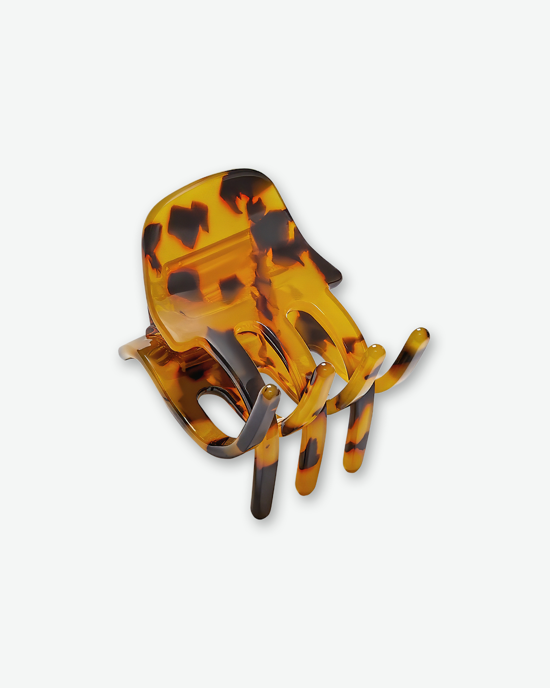 #color_classic-tortoise