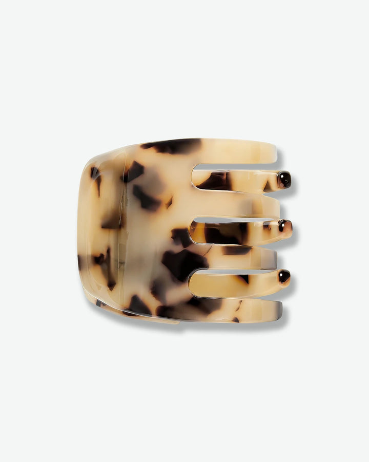#color_blonde-tortoise