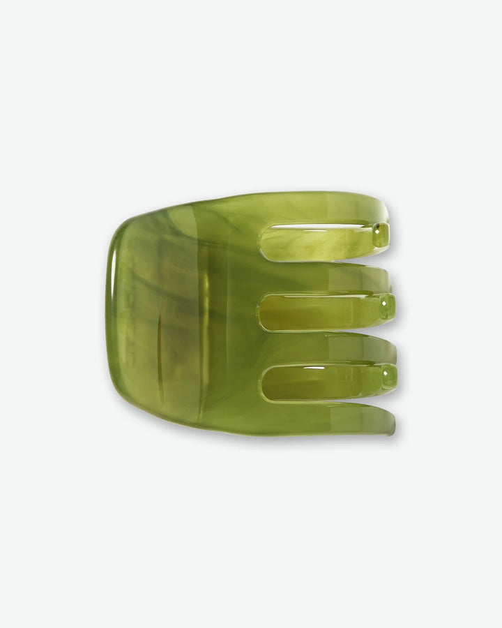 #color_algae